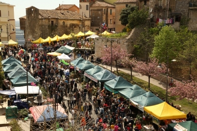 50 ° Sagra del Carciofo di Sezze. Bene la kermesse ma pensiamo anche alla produzione locale