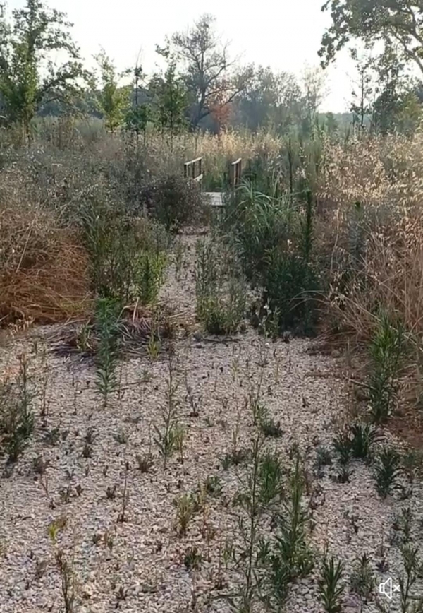 Il Lago Mole Muti di nuovo infrattato e nei rifiuti