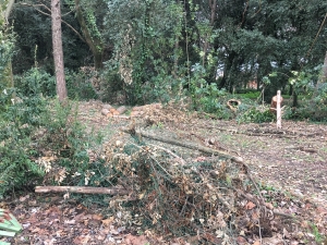 Parco dei Cappuccini, oggi il via ai lavori di riqualificazione