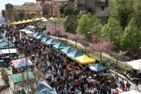 Torna la Sagra del Carciofo di Sezze. Siamo alla 51esima edizione