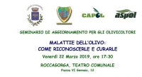 Malattie dell&#039;Olivo, come riconoscerle. Un seminario a Roccagorga