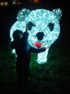 Emma e l&#039;orso illuminato